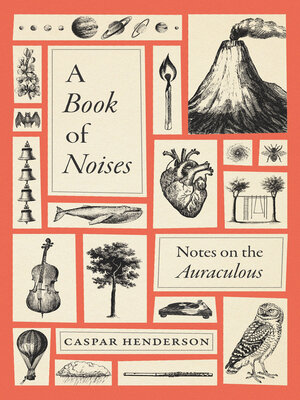 cover image of A Book of Noises